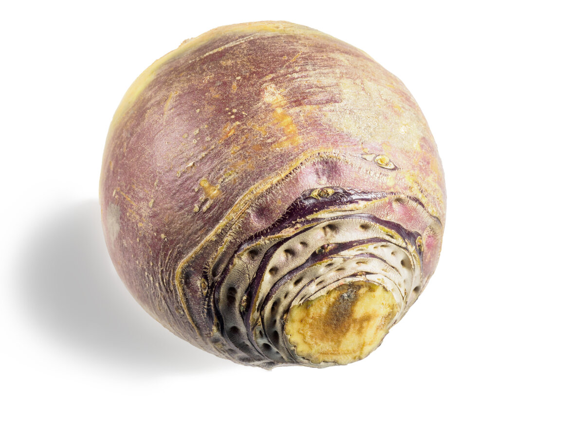 TURNIPS WAX | Fresh Tech Produce